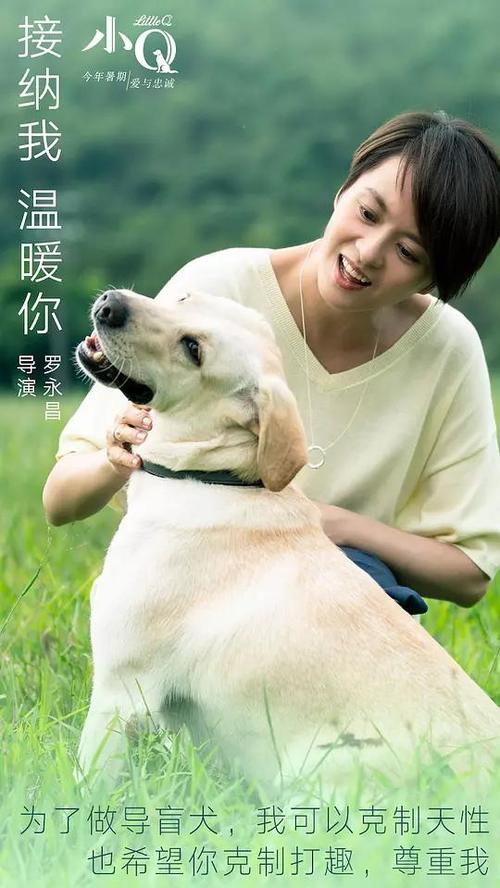 河北自考本科学位证申请条件